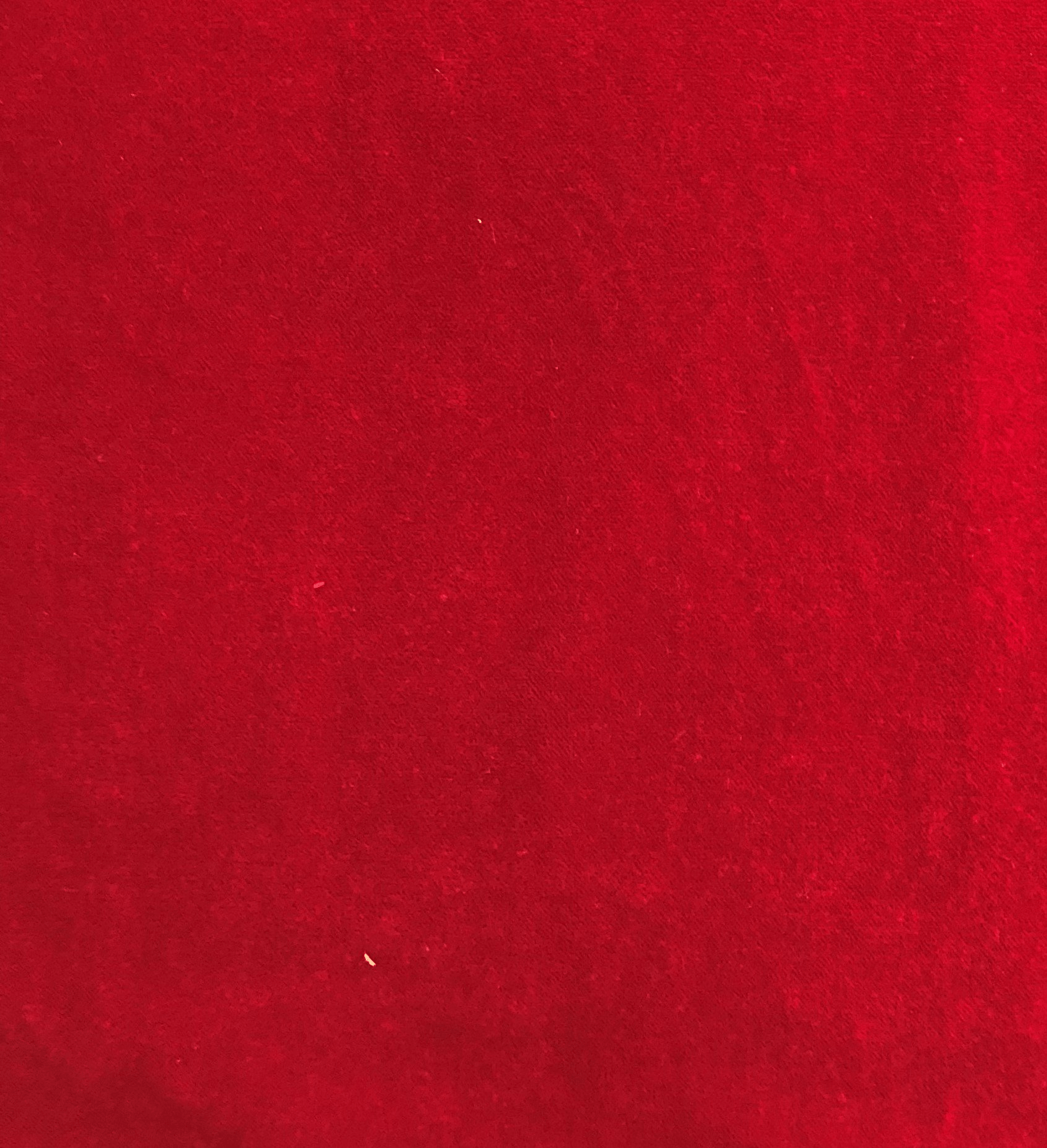 Amber Rose Luxury Throw Pillow in Red - Mervyns