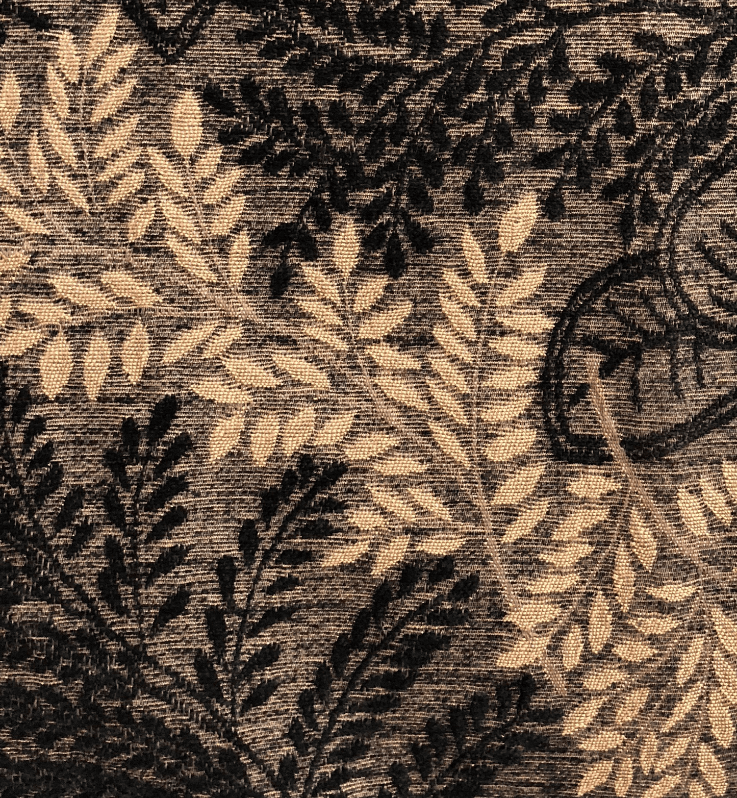 Bonzai Ebony Floral Throw Pillow in Black and Brown - Mervyns