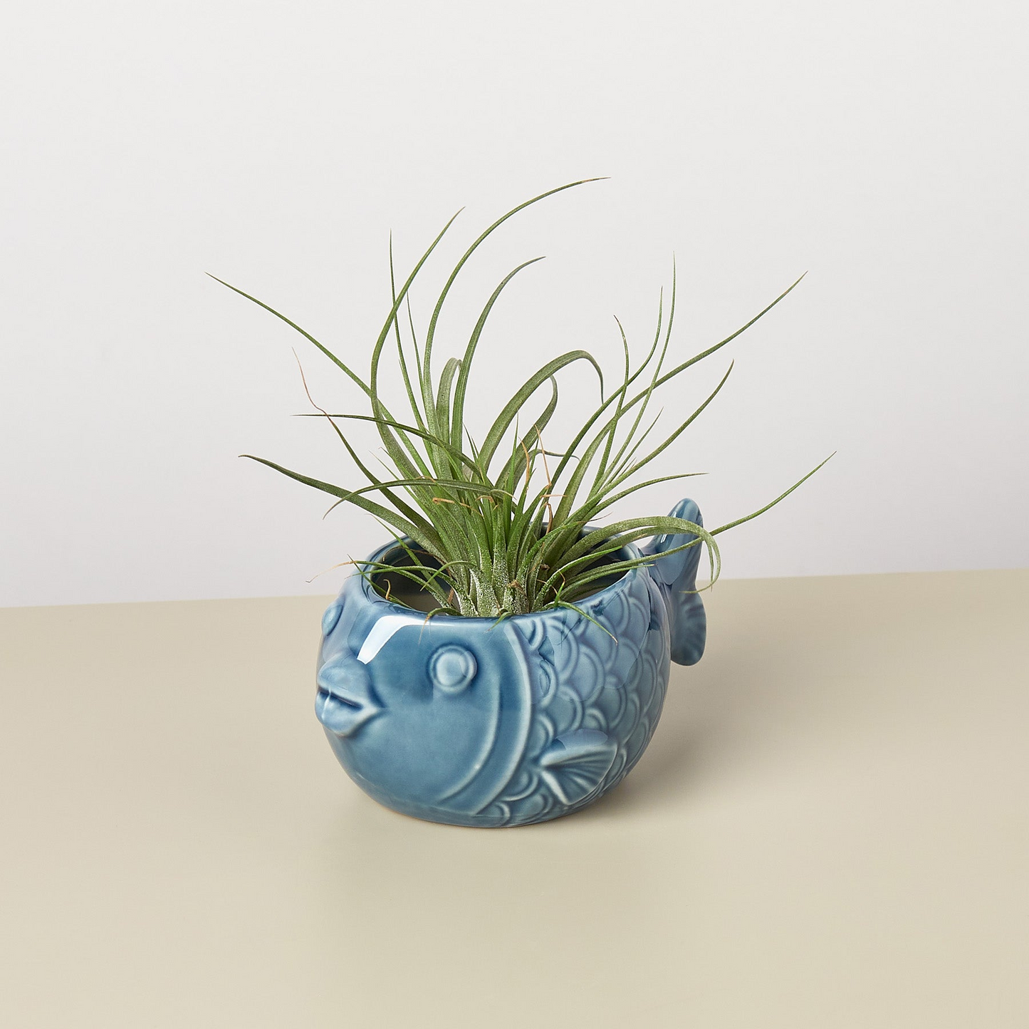 Small Animal Planter 'Fish'