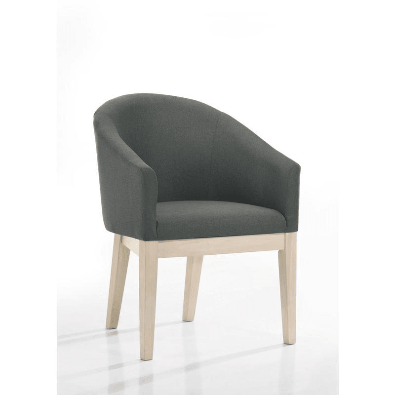 Neroli Set of 2 Gray Fabric Barrel Accent Chair - Mervyns