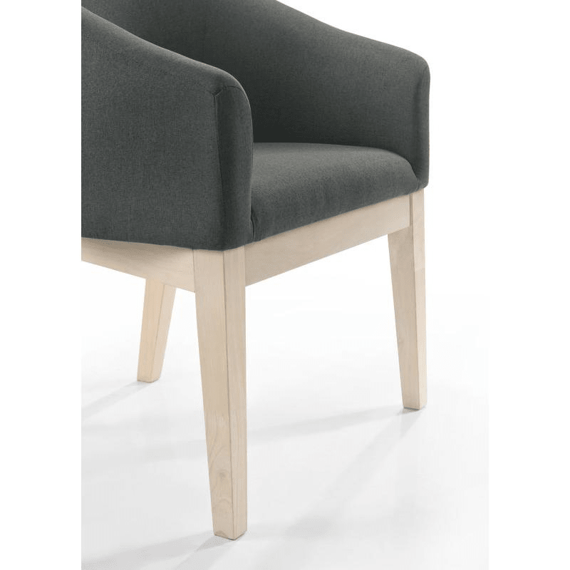 Neroli Set of 2 Gray Fabric Barrel Accent Chair - Mervyns