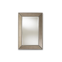 Thumbnail for Emelie Modern and Contemporary Antique Silver Finished Accent Wall Mirror