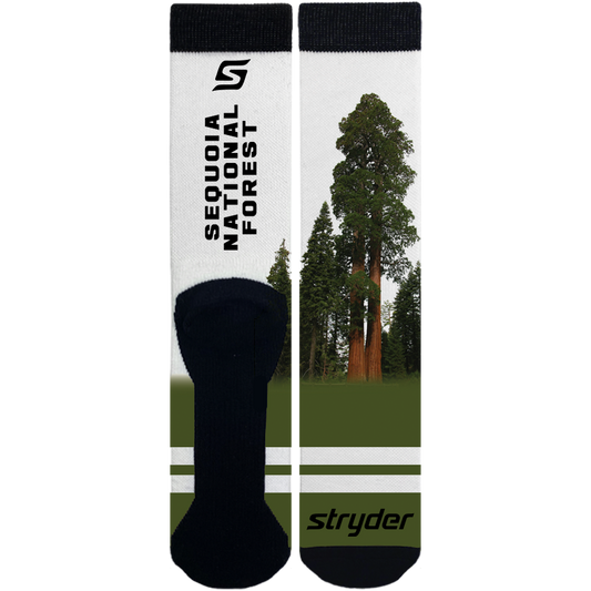Sequoia Double Trees Socks