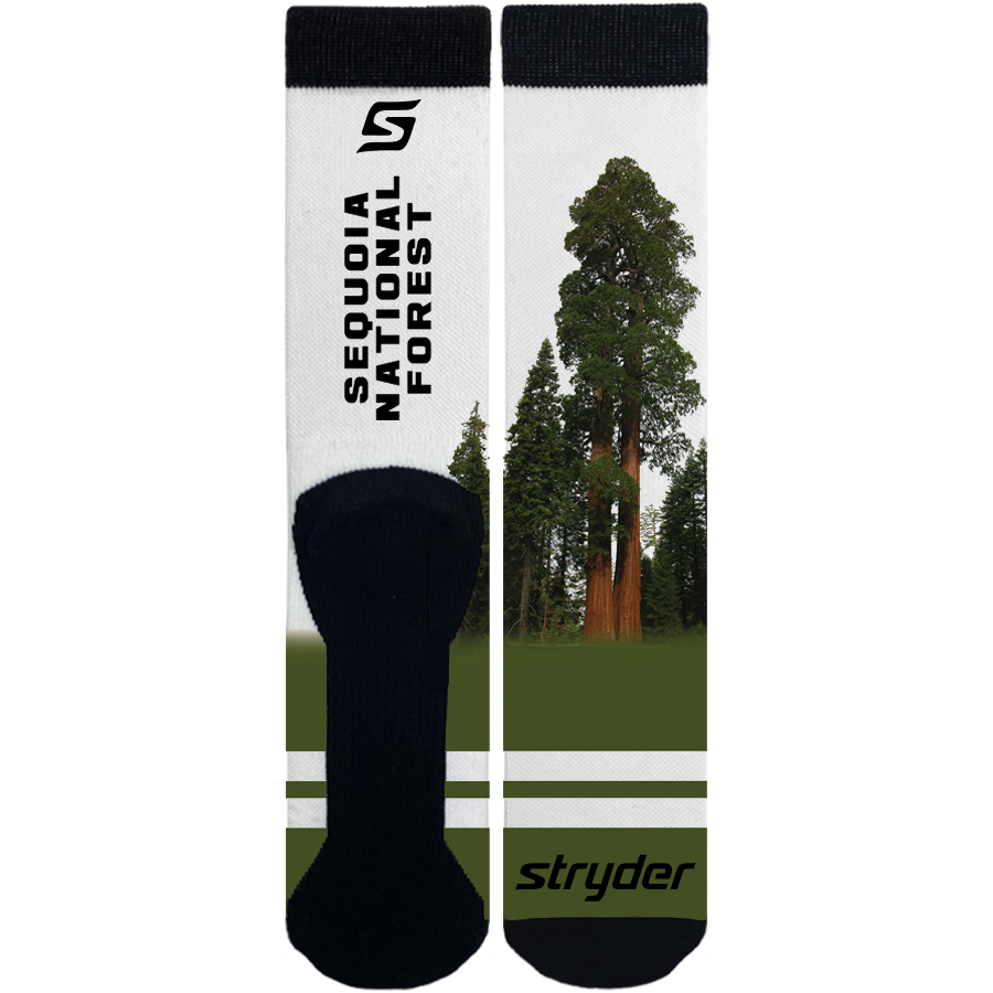 Sequoia Double Trees Socks