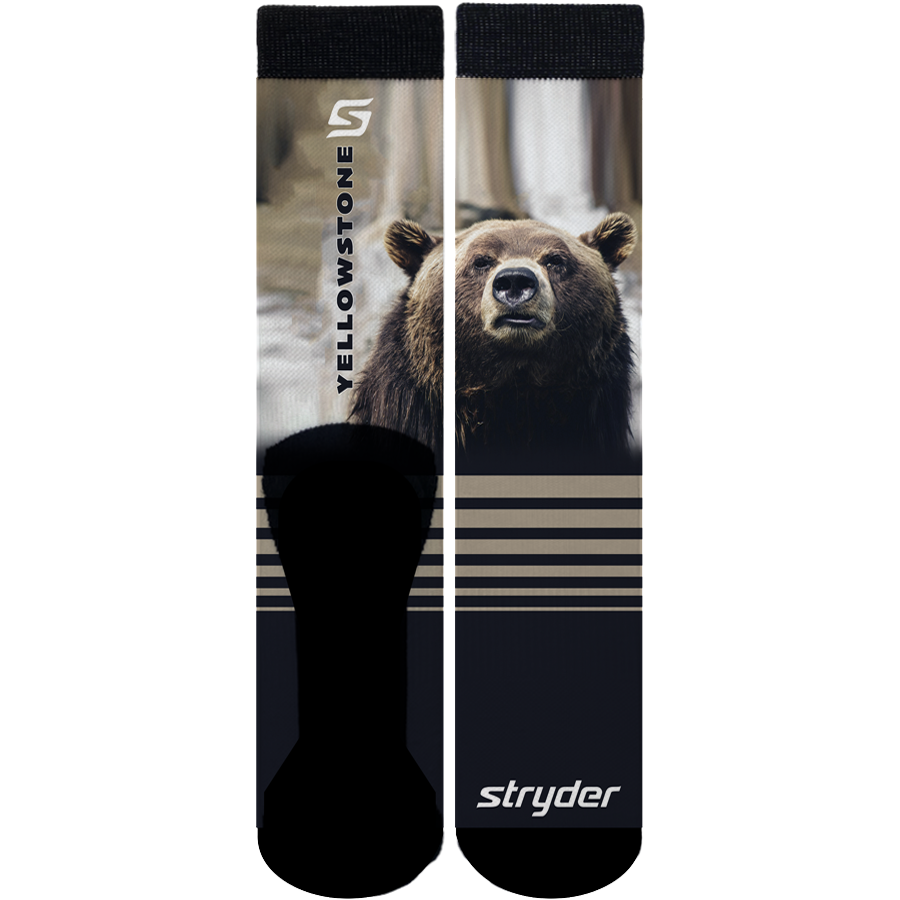 Yellowstone Bear Socks