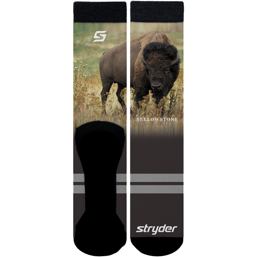 Yellowstone Bison Socks