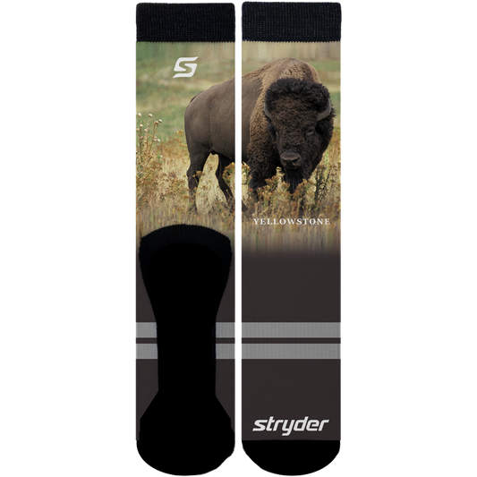 Yellowstone Bison Socks