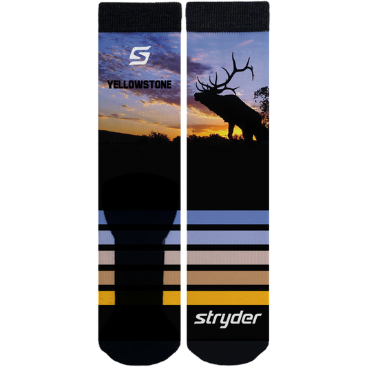 Yellowstone Elk Sunset Socks