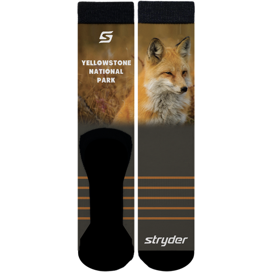 Yellowstone Fox Socks