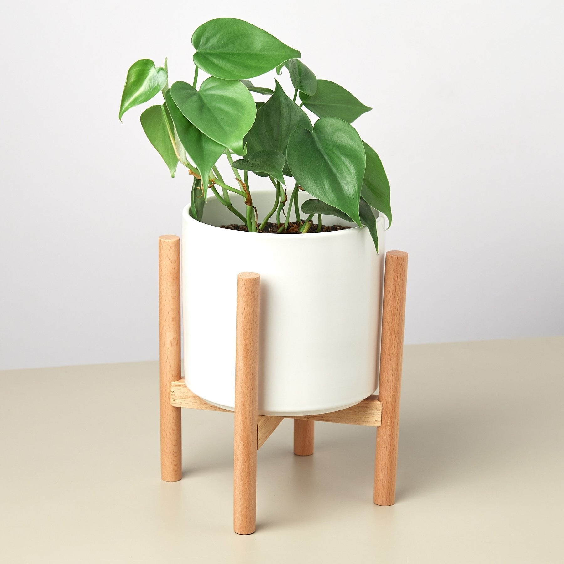 Cylinder Planter with Wood Stand - 5" Pot - Mervyns